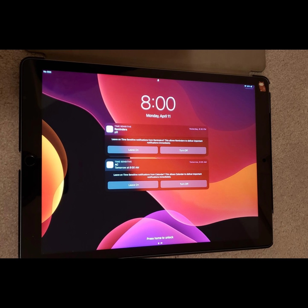 iPad pro 12.9in 2nd gen 128gb Wi-Fi + Cellular